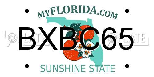 BXBC65 Florida License Plate