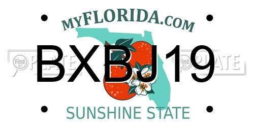 BXBJ19 Florida License Plate