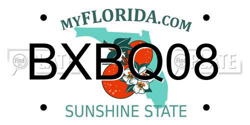 BXBQ08 Florida License Plate