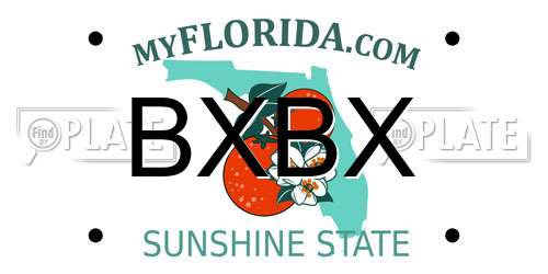 BXBX Florida License Plate