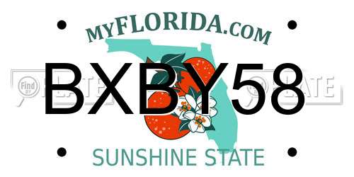 BXBY58 Florida License Plate