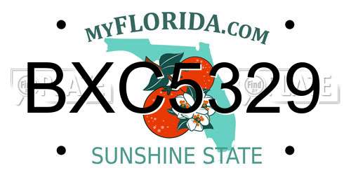 BXC5329 Florida License Plate