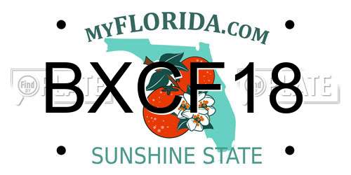 BXCF18 Florida License Plate