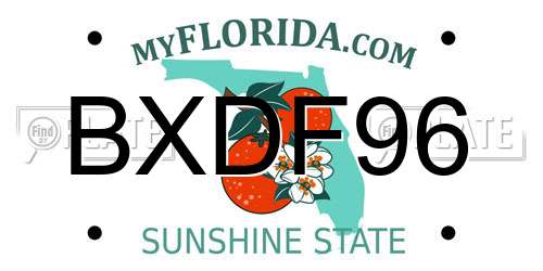 BXDF96 Florida License Plate