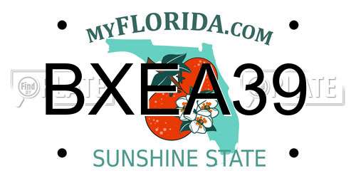 BXEA39 Florida License Plate