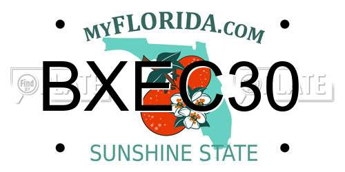 BXEC30 Florida License Plate
