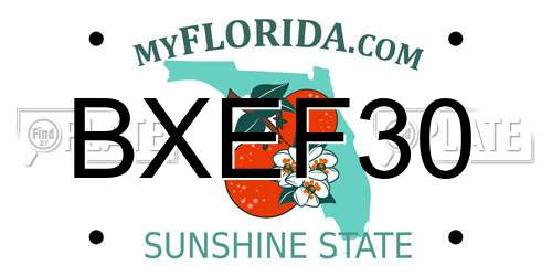 BXEF30 Florida License Plate