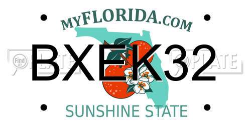 BXEK32 Florida License Plate