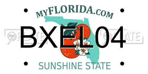 BXEL04 Florida License Plate