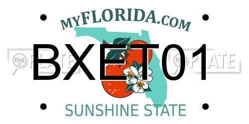 BXET01 Florida License Plate