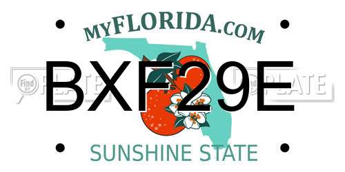 BXF29E Florida License Plate