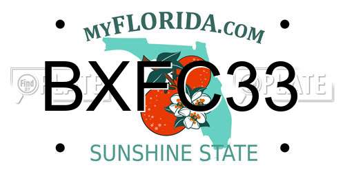 BXFC33 Florida License Plate
