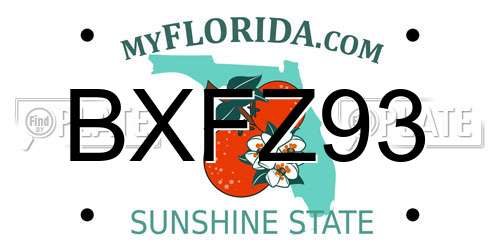 BXFZ93 Florida License Plate
