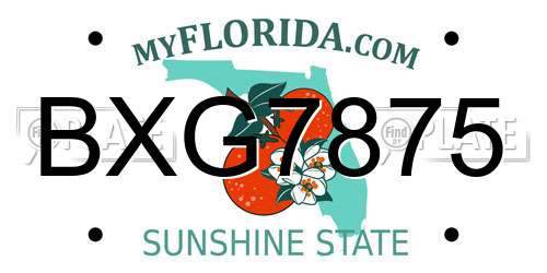 BXG7875 Florida License Plate