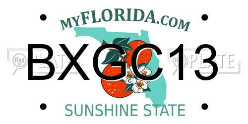 BXGC13 Florida License Plate