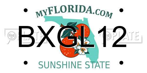 BXGL12 Florida License Plate