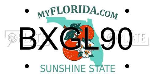 BXGL90 Florida License Plate