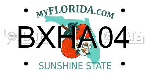 BXHA04 Florida License Plate