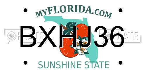 BXHJ36 Florida License Plate