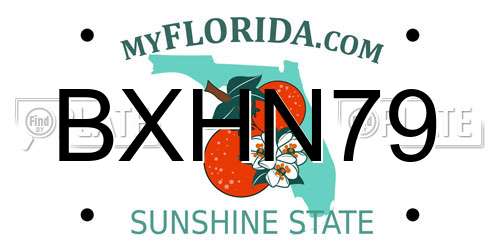 BXHN79 Florida License Plate