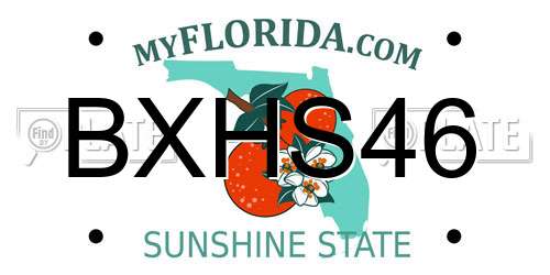 BXHS46 Florida License Plate