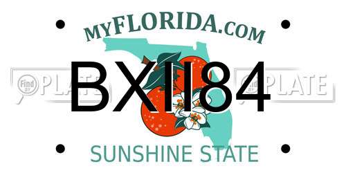 BXII84 Florida License Plate