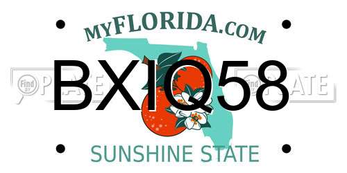 BXIQ58 Florida License Plate