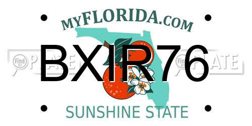 BXIR76 Florida License Plate