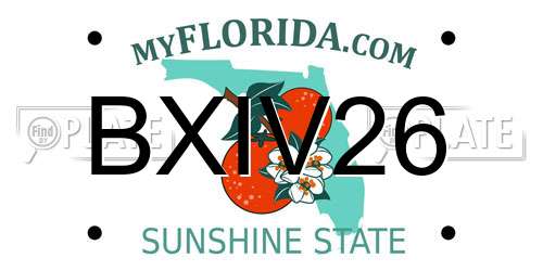 BXIV26 Florida License Plate