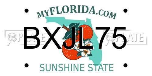 BXJL75 Florida License Plate