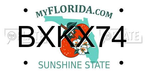 BXKX74 Florida License Plate