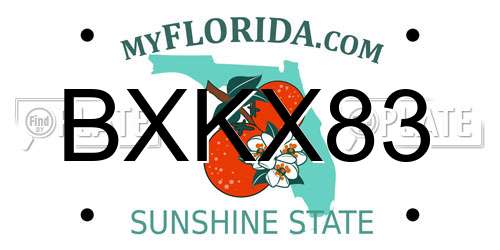 BXKX83 Florida License Plate