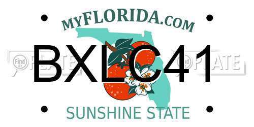 BXLC41 Florida License Plate