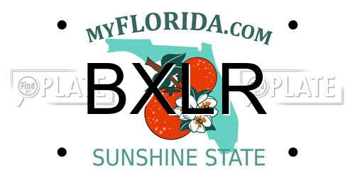 BXLR Florida License Plate