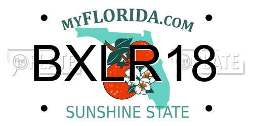 BXLR18 Florida License Plate
