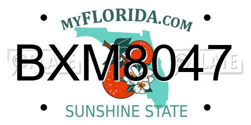 BXM8047 Florida License Plate
