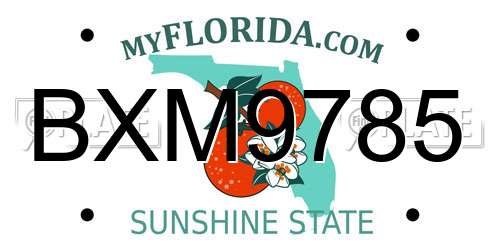 BXM9785 Florida License Plate