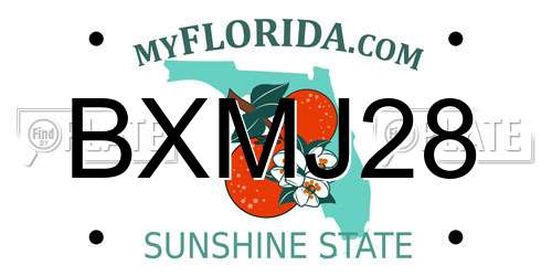 BXMJ28 Florida License Plate