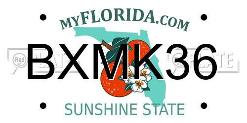 BXMK36 Florida License Plate