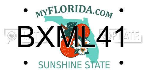 BXML41 Florida License Plate