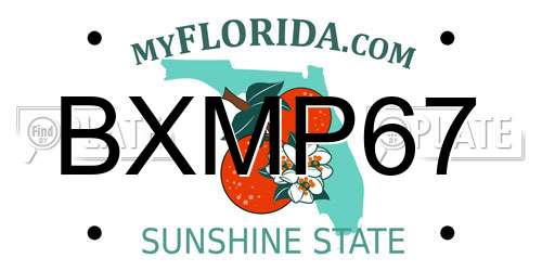 BXMP67 Florida License Plate