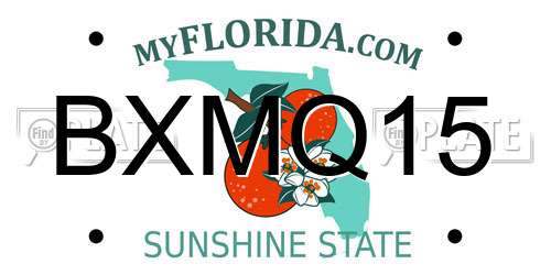 BXMQ15 Florida License Plate