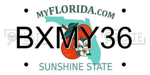 BXMY36 Florida License Plate