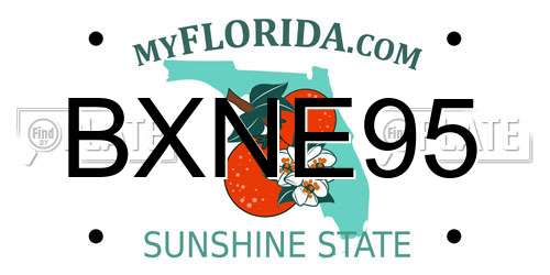 BXNE95 Florida License Plate