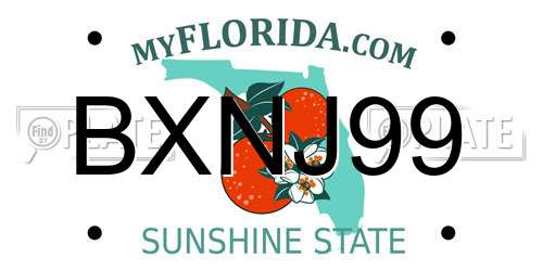 BXNJ99 Florida License Plate