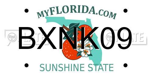 BXNK09 Florida License Plate