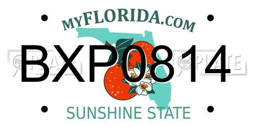 BXP0814 Florida License Plate