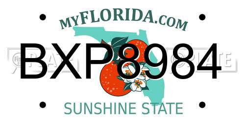 BXP8984 Florida License Plate