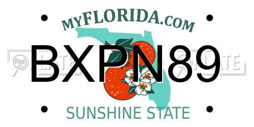 BXPN89 Florida License Plate
