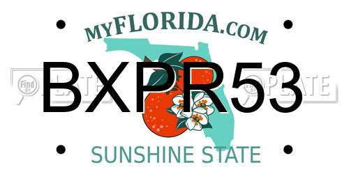 BXPR53 Florida License Plate